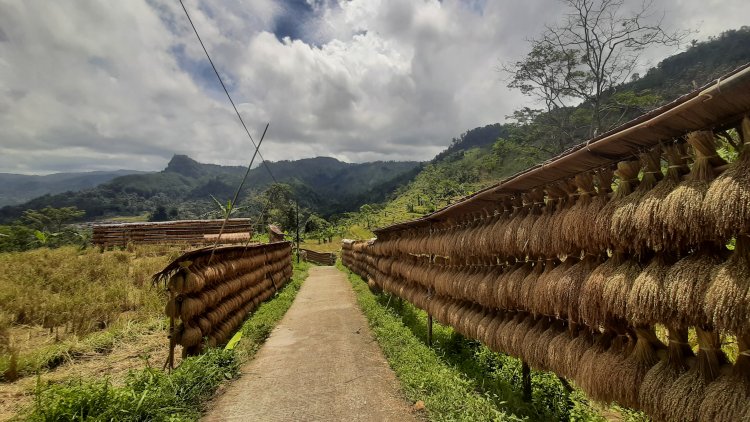 Kasepuhan Cipta Gelar Sukabumi: Menjaga Adat dan Budaya yang Luhur